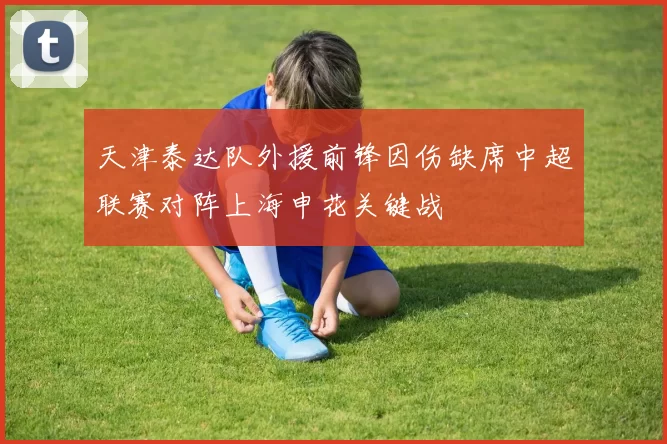 天津泰达队外援前锋因伤缺席中超联赛对阵上海申花关键战